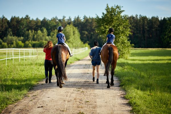 Little girls ride beautiful horses on the road in the forest in summer. High quality photo